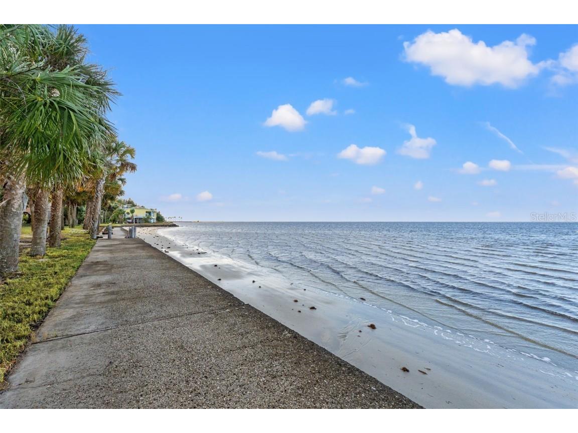 3461 Gum Drive Weeki Wachee FL 34607 W7878693 image5