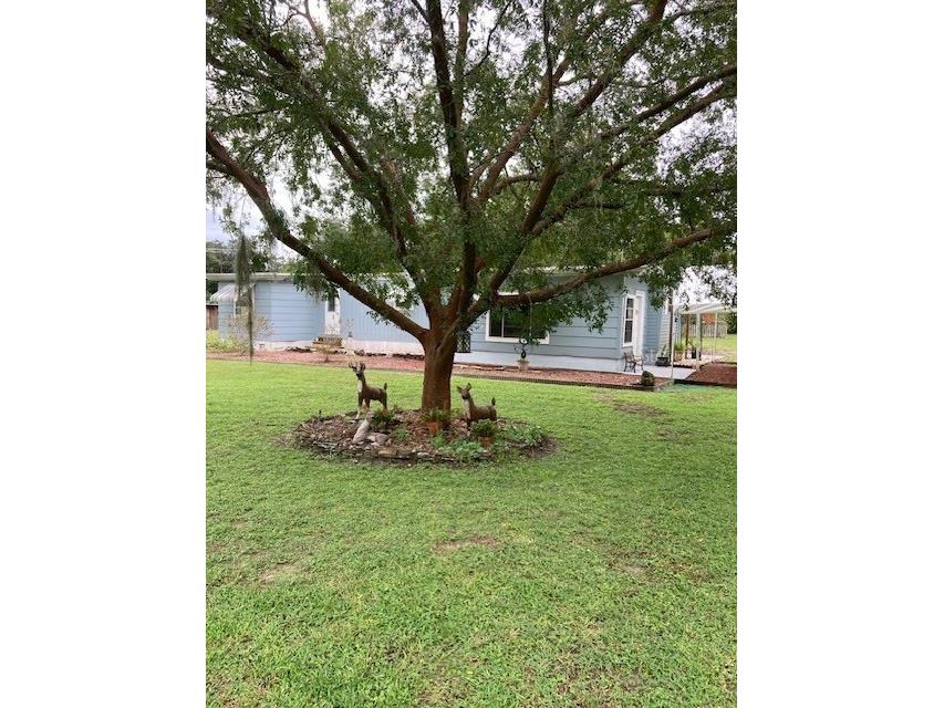 34612 County Road 437 N Eustis FL 32736 G5085046 image1