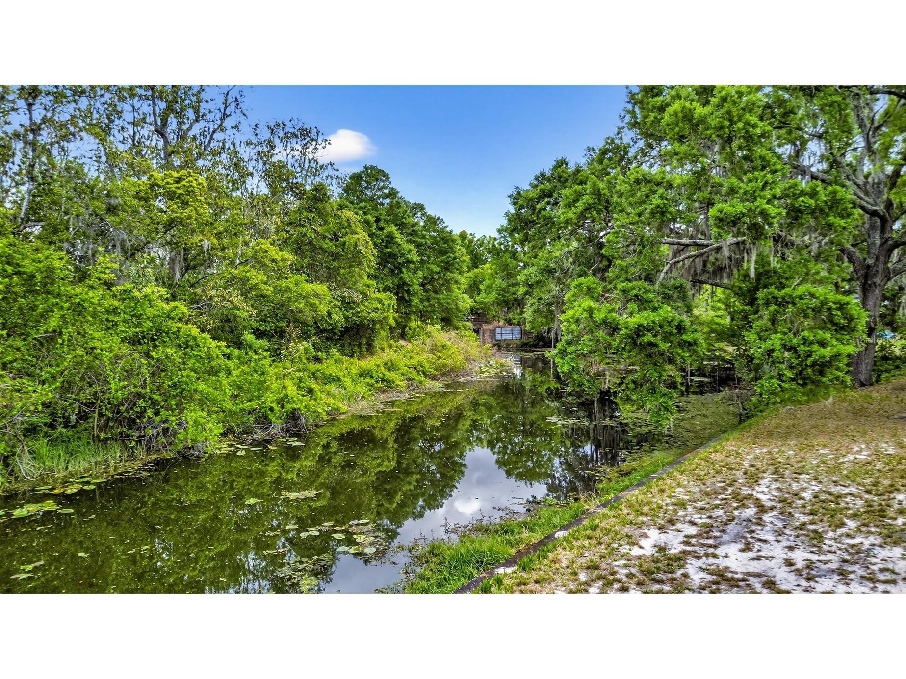 34618 S Haines Creek Road Leesburg FL 34788 G5110498 image16