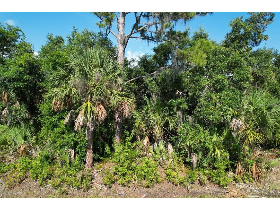 3462 Brentano Street Port Charlotte FL 33948 C7493733 image1