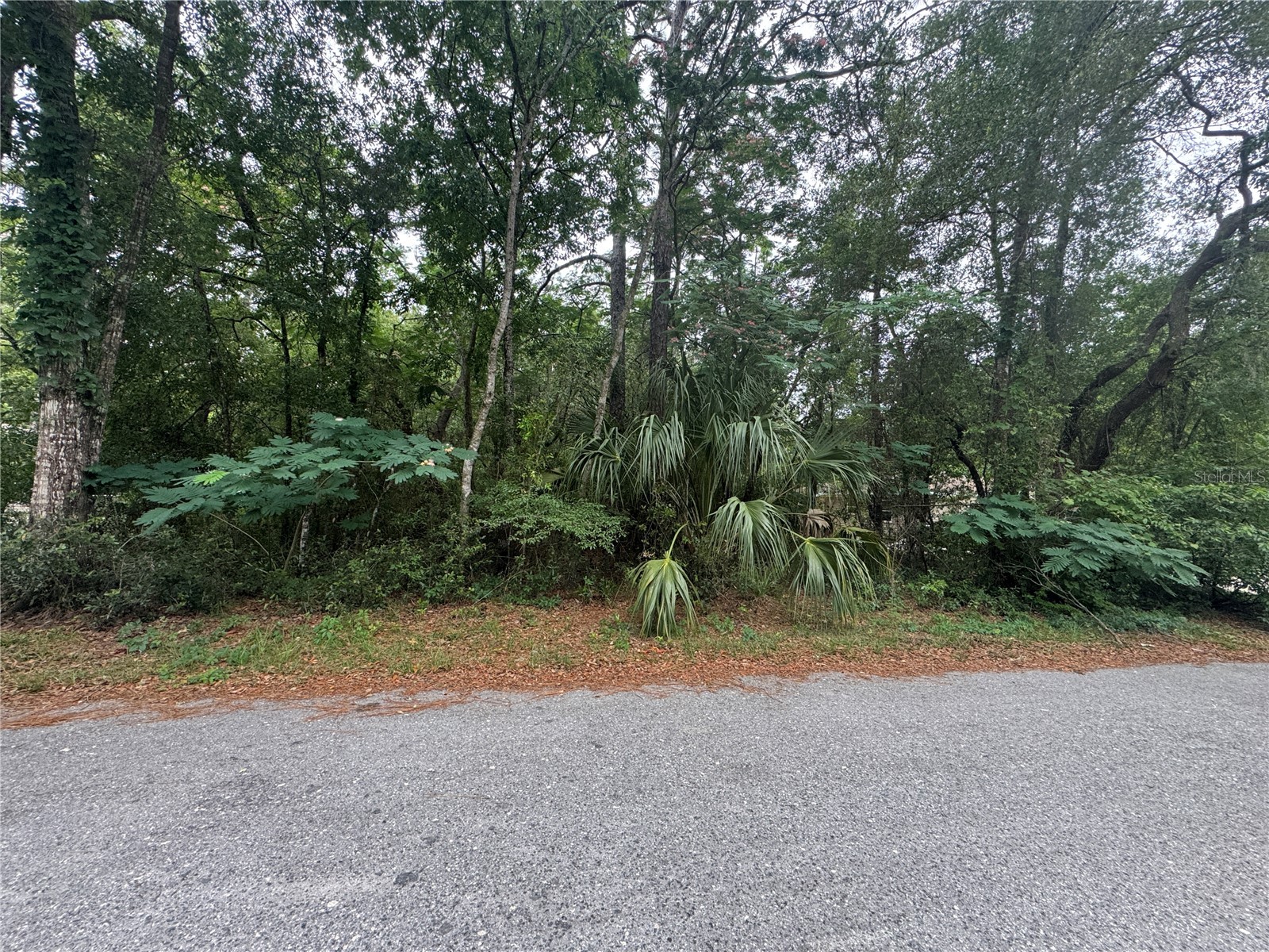 3462 E Michael Street Inverness FL 34453 GC540300 image1