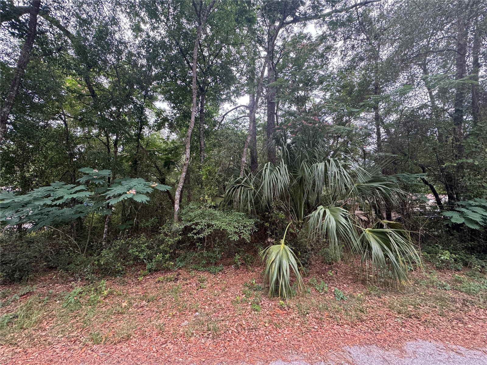 3462 E Michael Street Inverness FL 34453 GC540300 image4