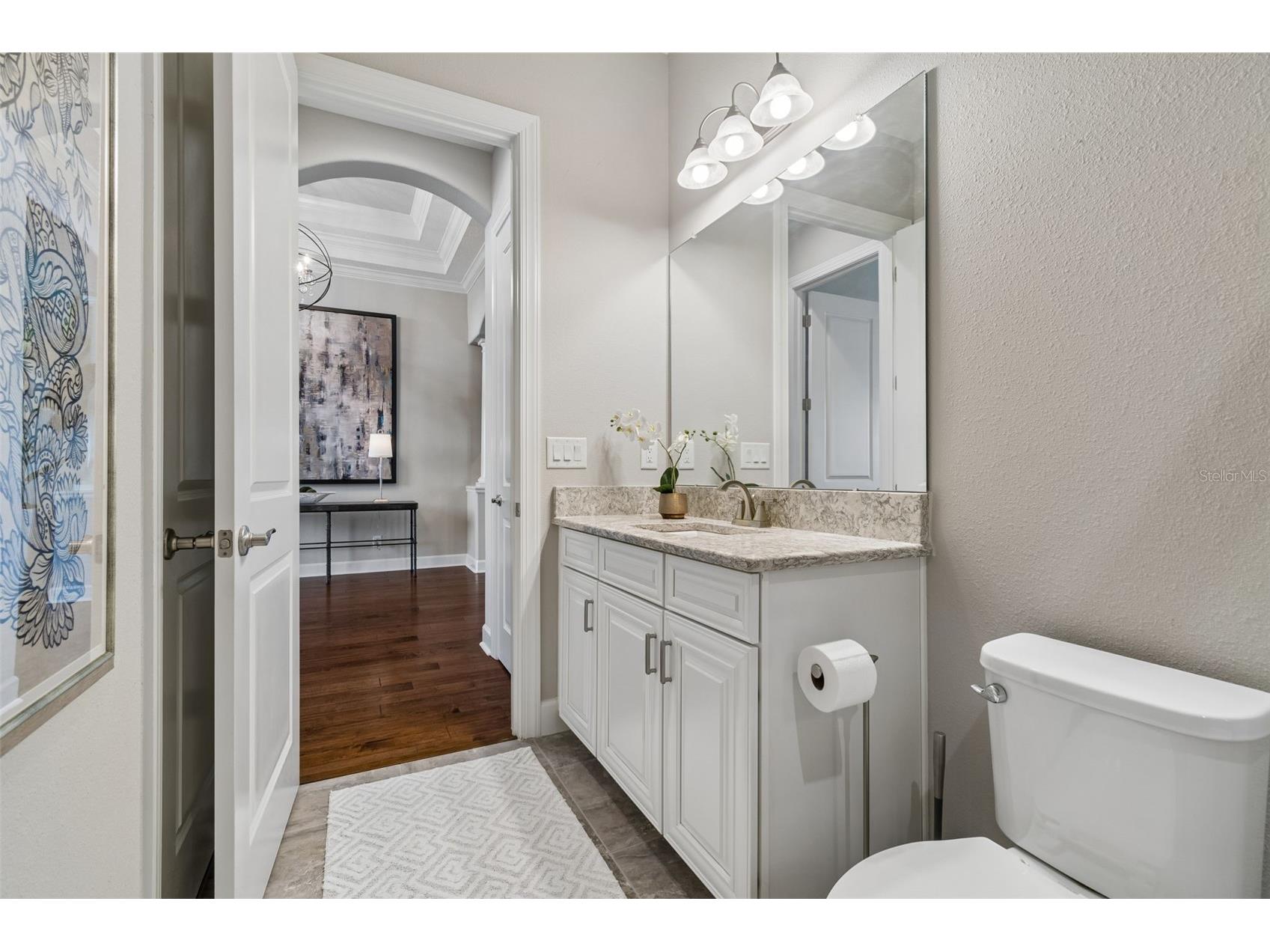 3462 Forsythia Drive Odessa FL 33556 - HUCKLEBERRY POND W7883873 image22