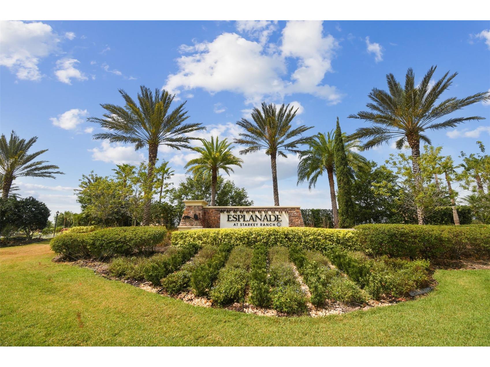 3462 Forsythia Drive Odessa FL 33556 - HUCKLEBERRY POND W7883873 image3