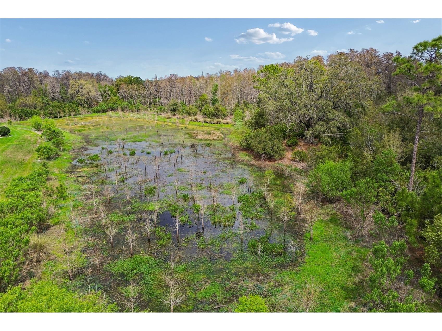 3462 Forsythia Drive Odessa FL 33556 - HUCKLEBERRY POND W7883873 image97