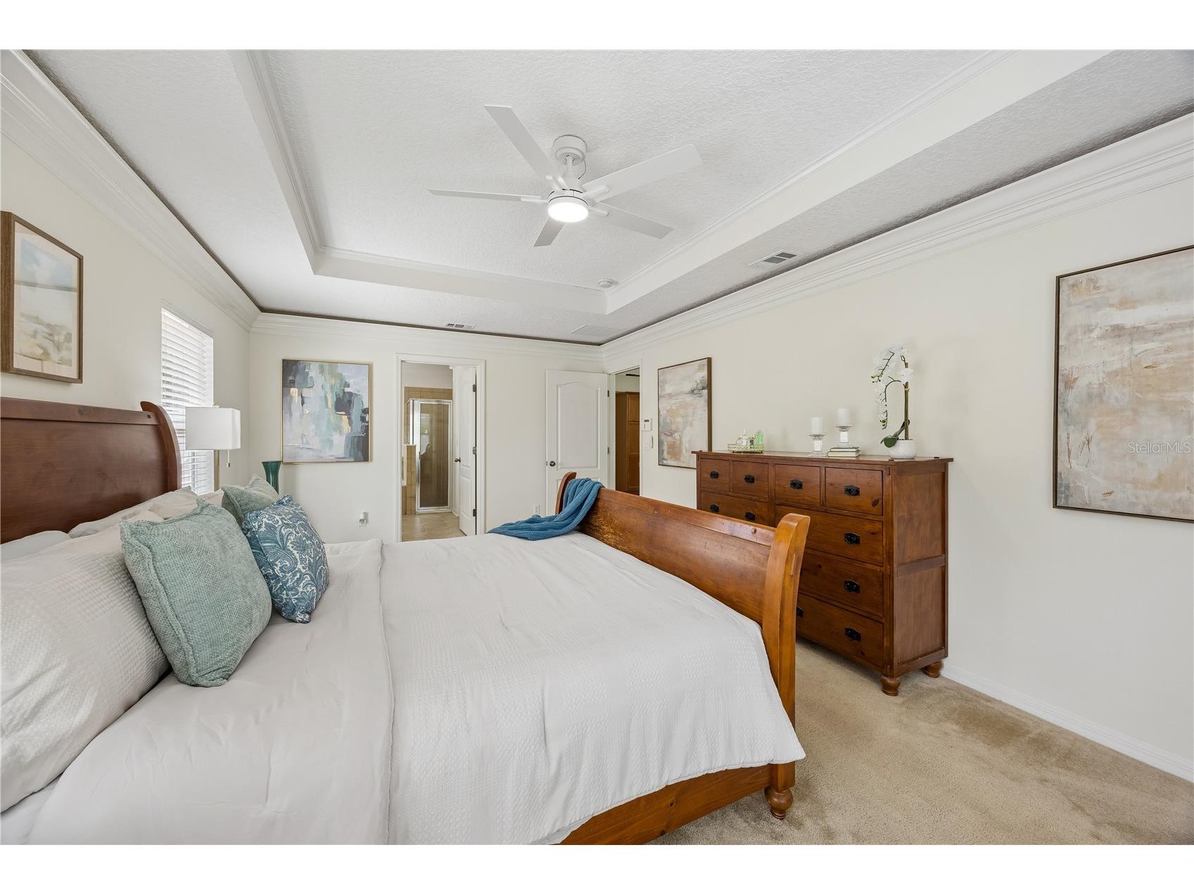 3462 Worthington Oaks Drive Orange Park FL 32065 TB8526883 image15