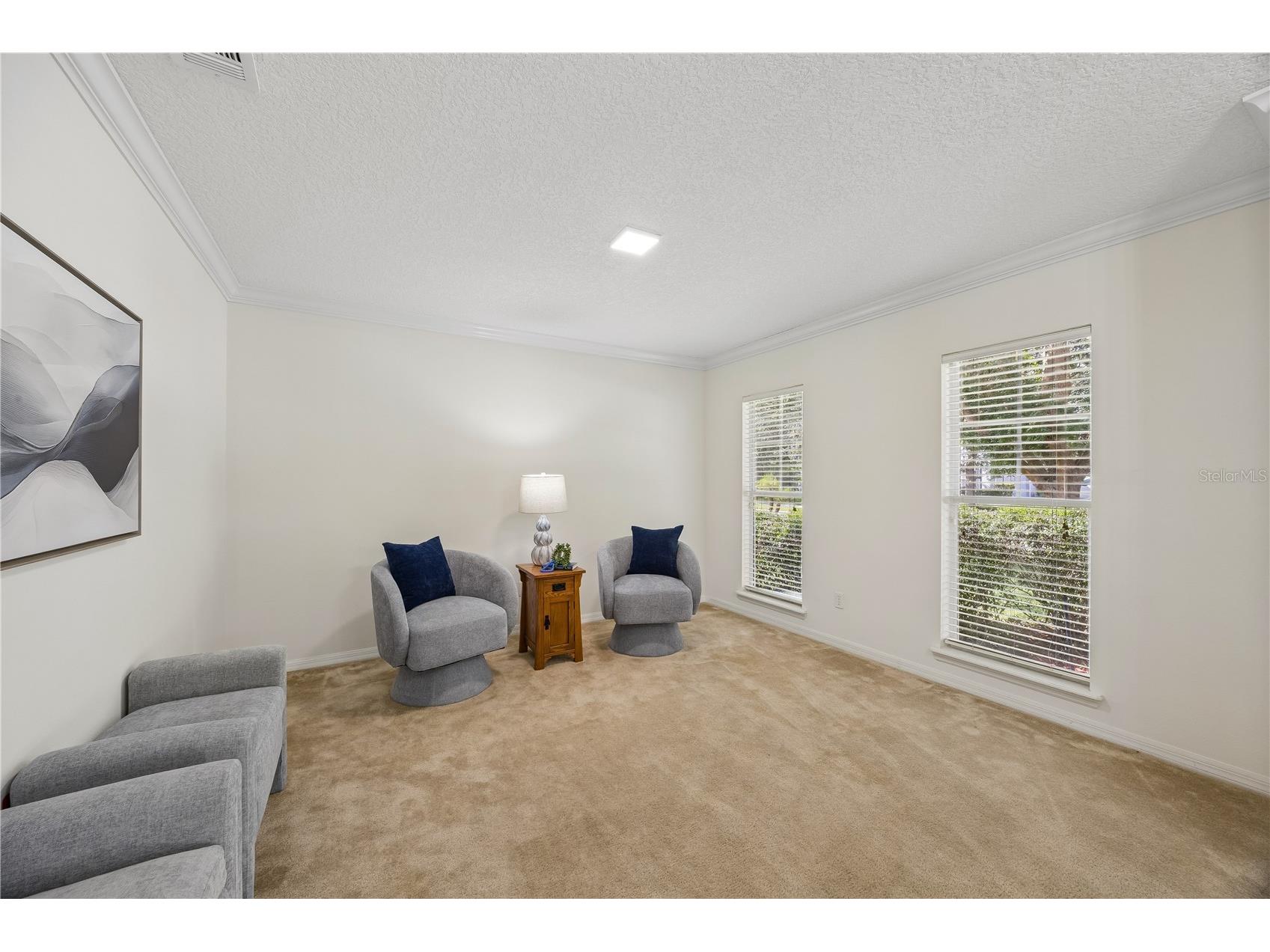 3462 Worthington Oaks Drive Orange Park FL 32065 TB8526883 image8