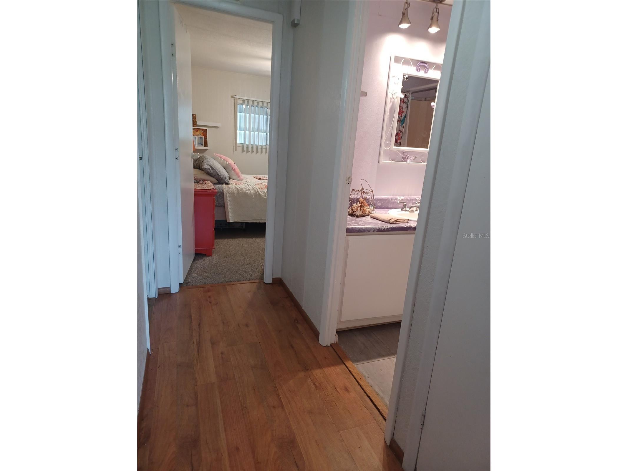 34620 Sweetpea Lane Zephyrhills FL 33541 TB8407092 image14