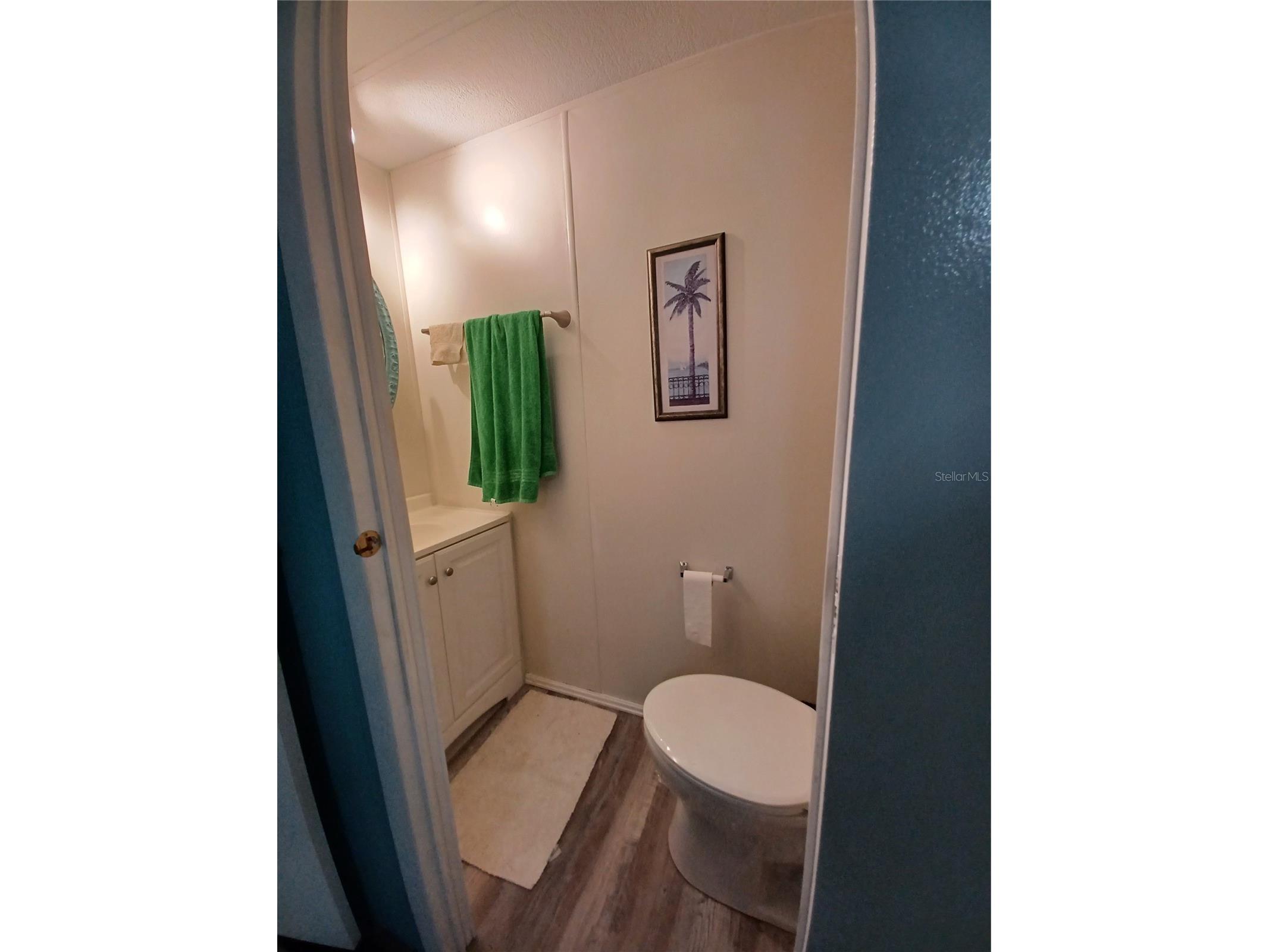 34620 Sweetpea Lane Zephyrhills FL 33541 TB8407092 image15