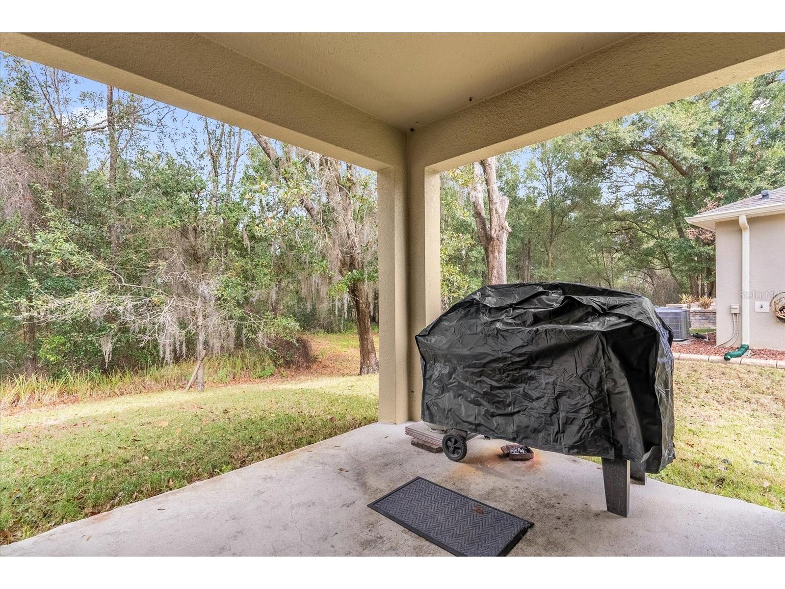 34625 Salerno Circle Sorrento FL 32776 O6345153 image25