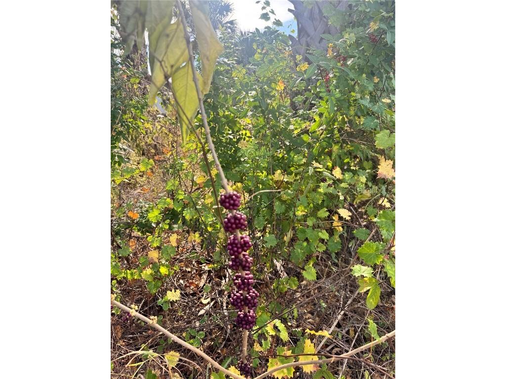 3463 Cabaret Street Port Charlotte FL 33948 - COMO WATERWAY D6145090 image12