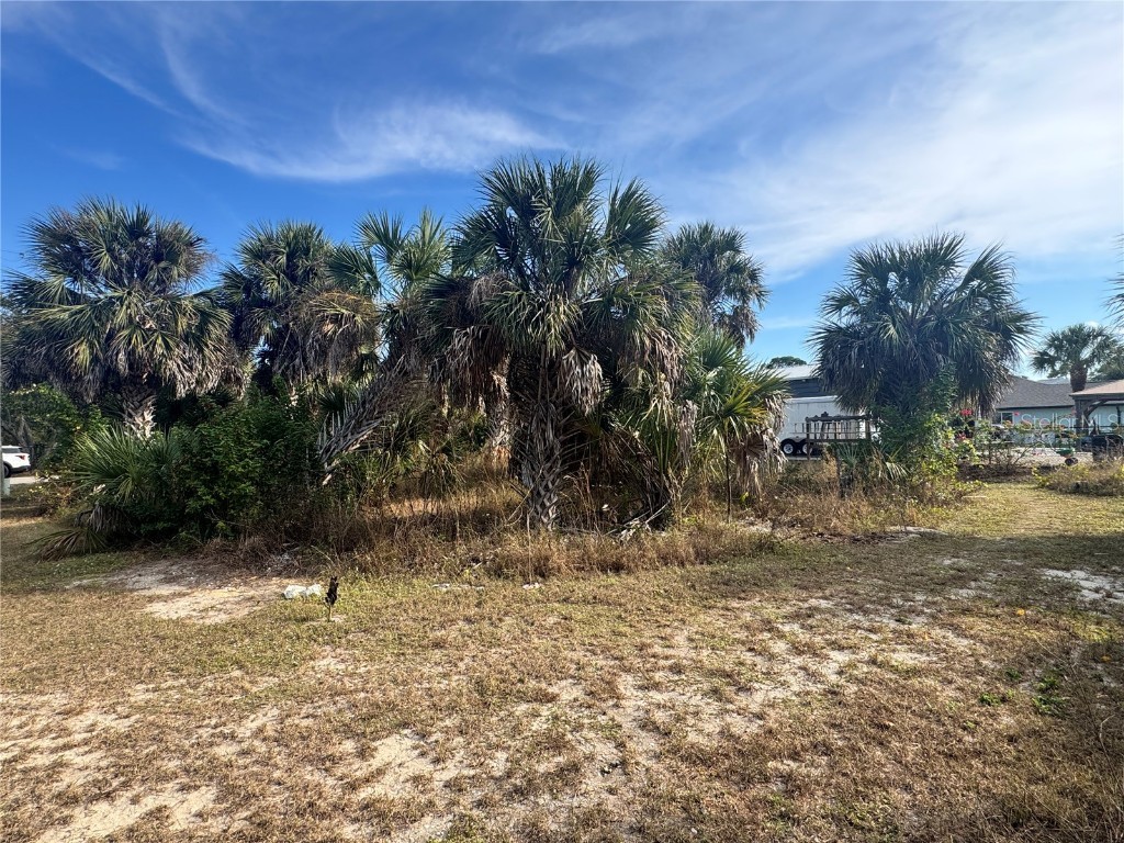 3463 Cabaret Street Port Charlotte FL 33948 - COMO WATERWAY D6145090 image8