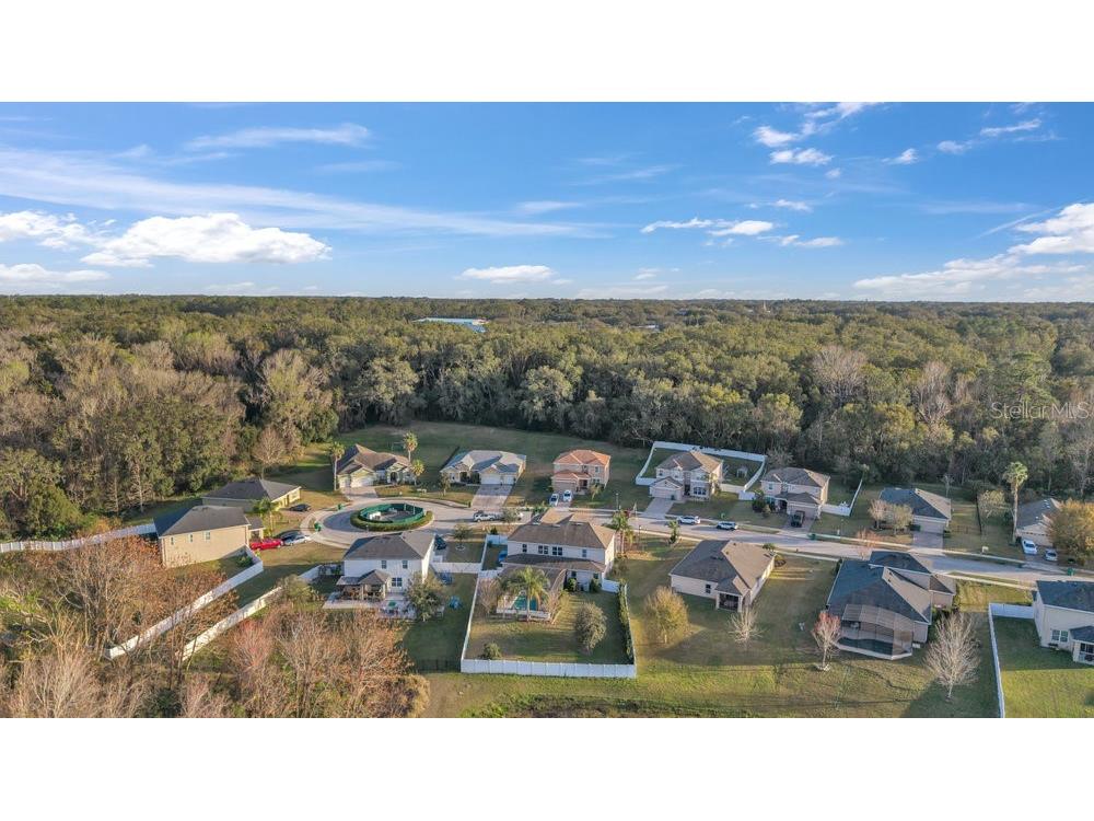 3463 Creek Run Lane Eustis FL 32736 G5106154 image81