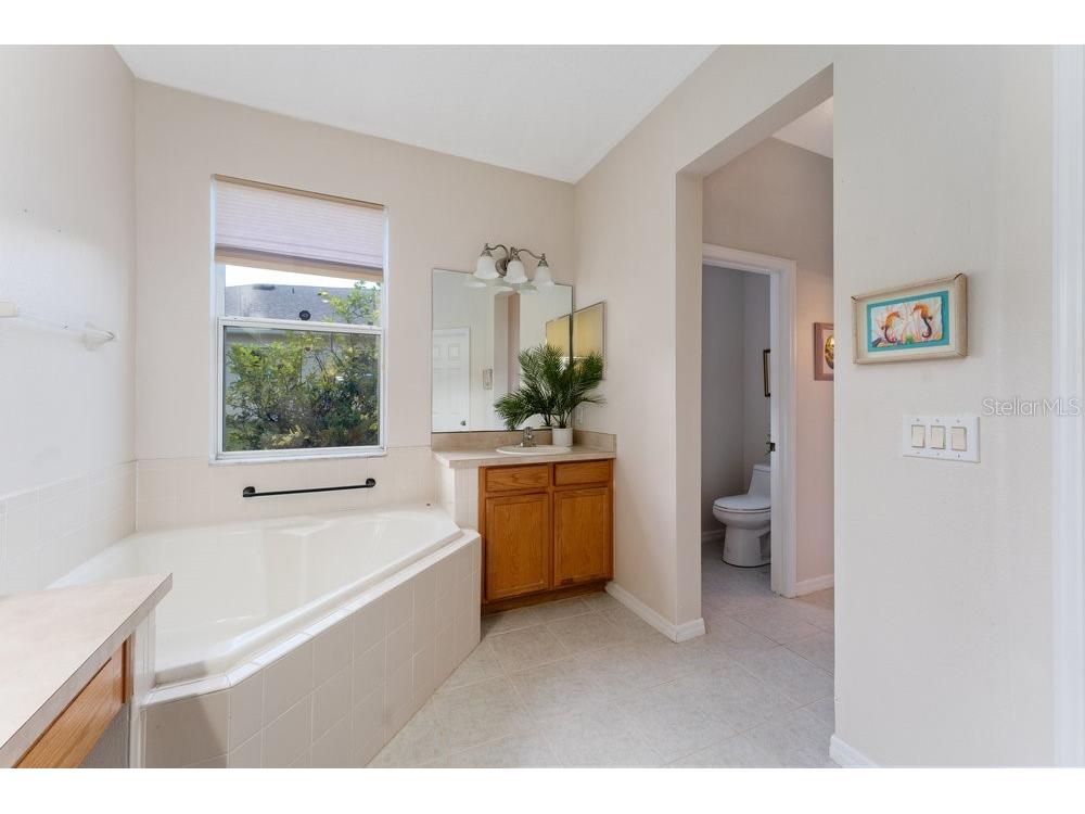 3463 Creek Run Lane Eustis FL 32736 G5111905 image43