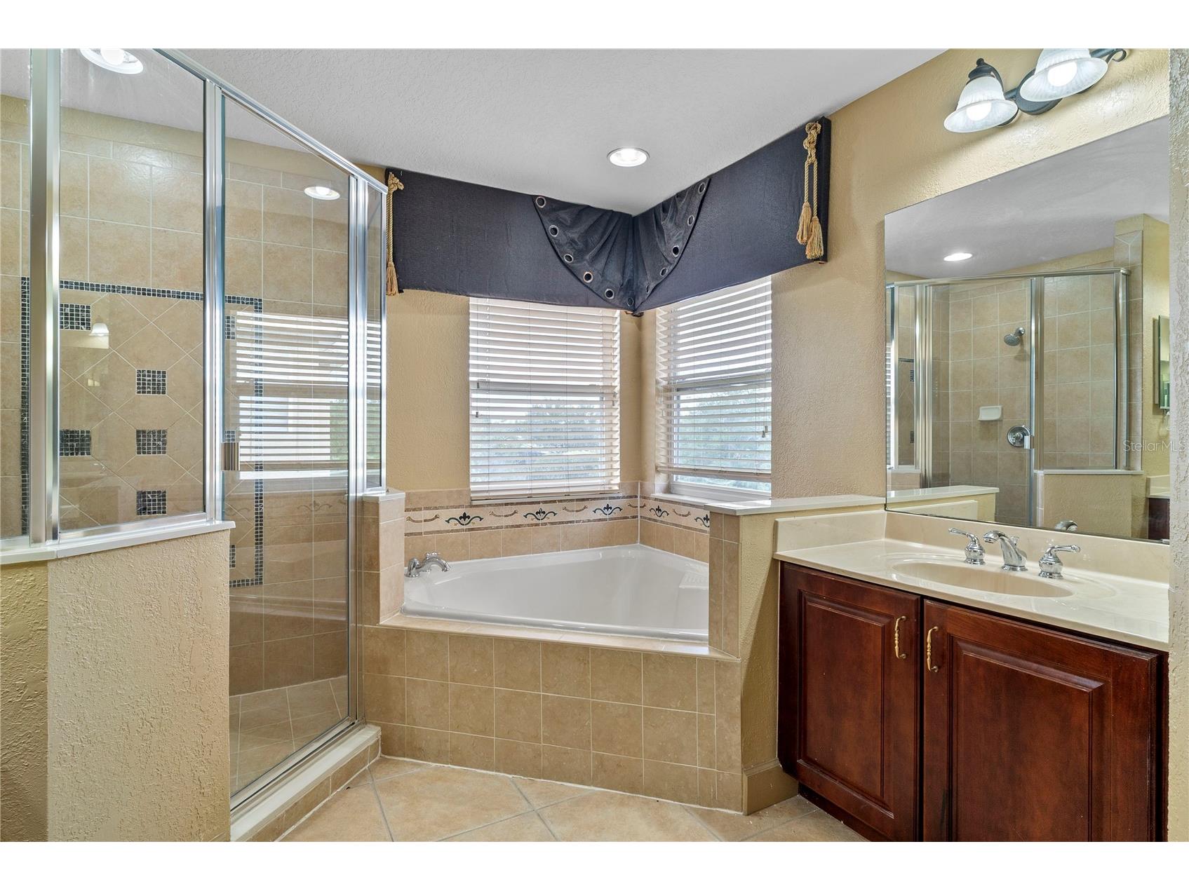 3463 Forest Ridge Lane Kissimmee FL 34741 O6407190 image38