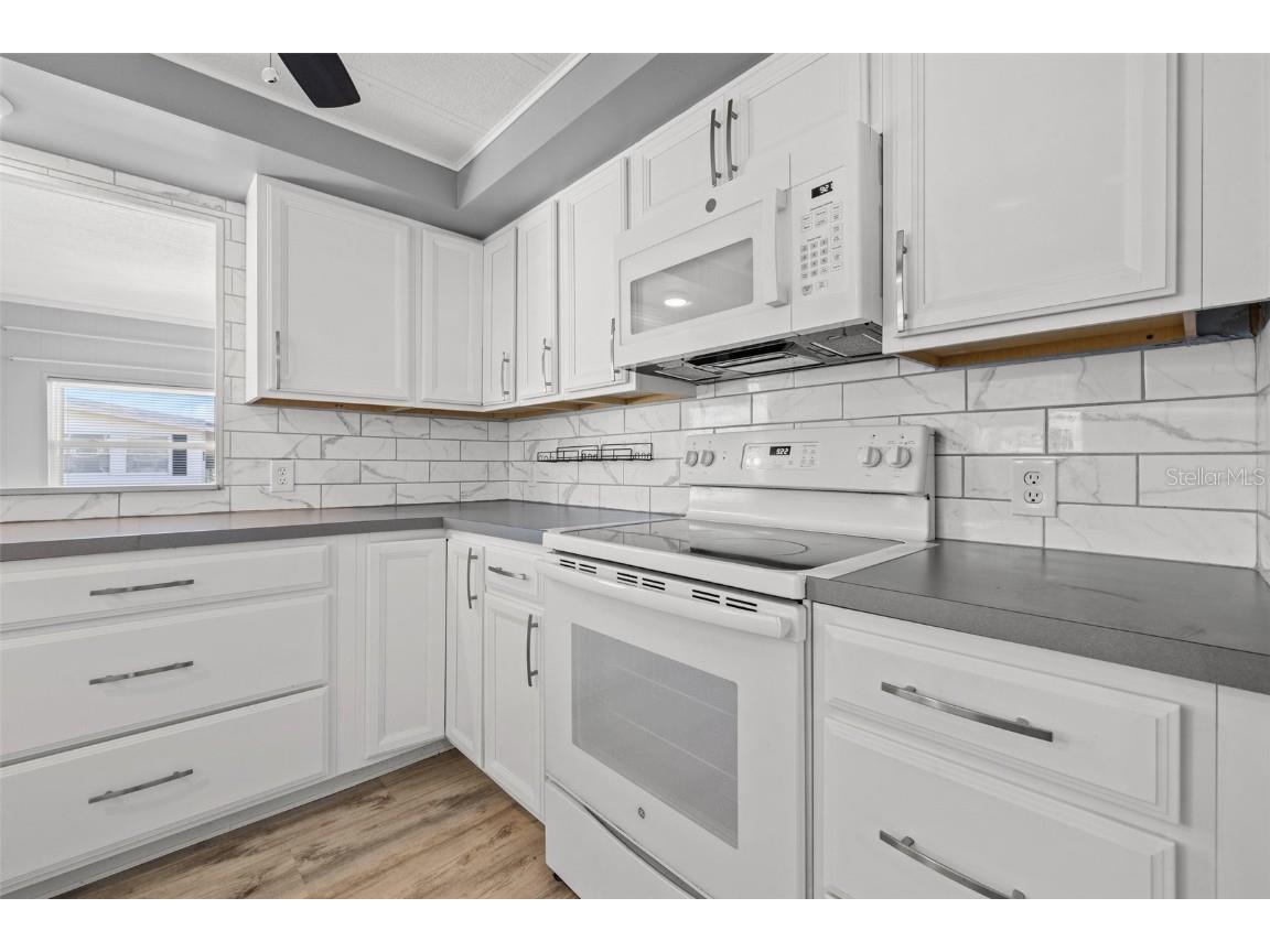 34633 Rosebud Row Zephyrhills FL 33541 TB8360332 image14