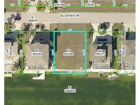 3464 Bluefish Drive Hernando Beach FL 34607 W7882852 image4