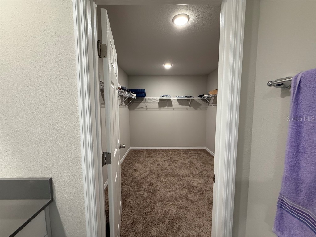 3464 Dahlia Drive Haines City FL 33844 S5136044 image24