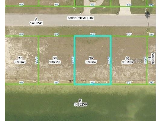 3464 Sheephead Drive Hernando Beach FL 34607 TB8418187 image1