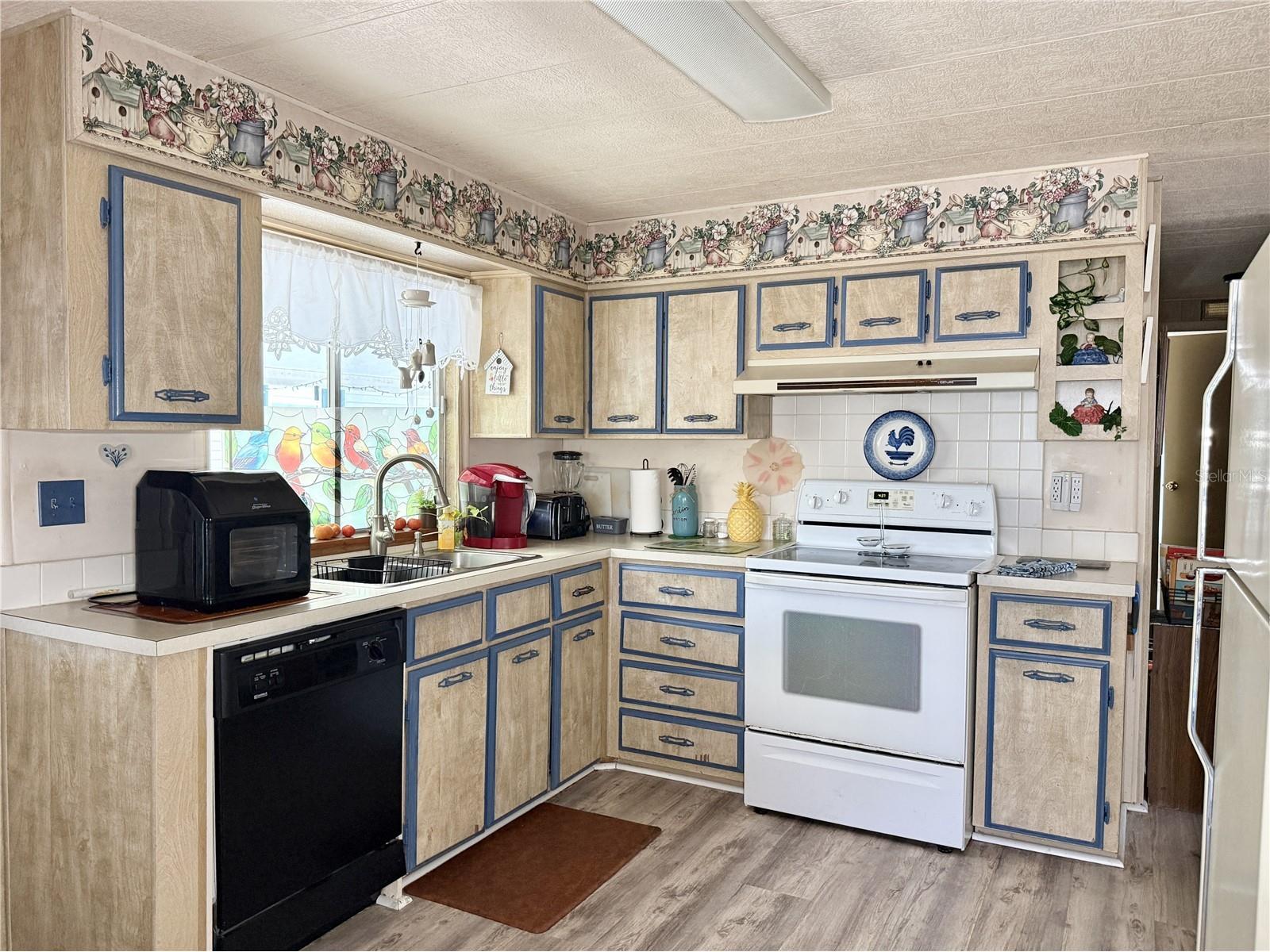 34642 Sweetpea Lane Lane Zephyrhills FL 33541 TB8504002 image6