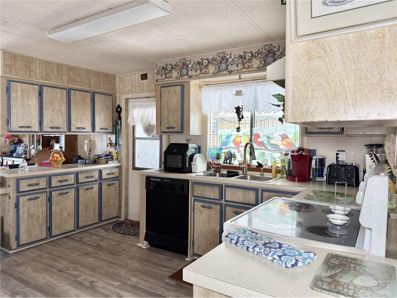 34642 Sweetpea Lane Lane Zephyrhills FL 33541 TB8504002 image7