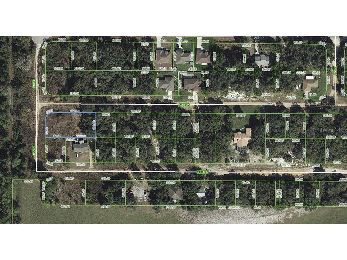 3465 W Ansonia Road Avon Park FL 33825 O6297317 image2