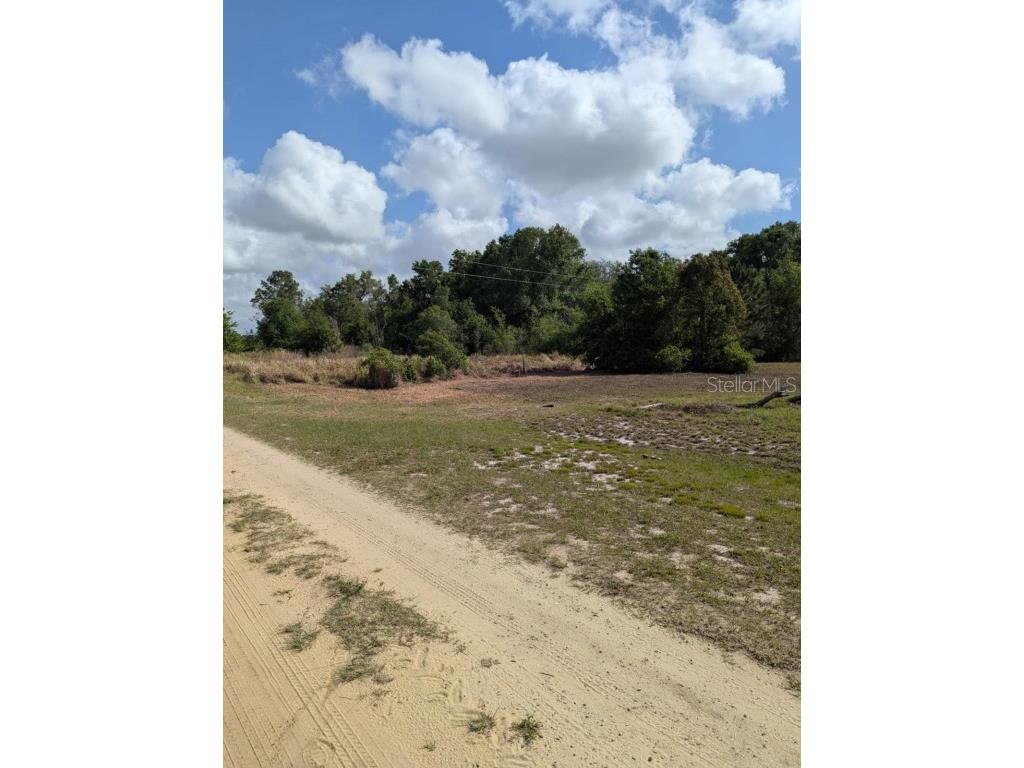 3465 W Ansonia Road Avon Park FL 33825 O6297317 image4