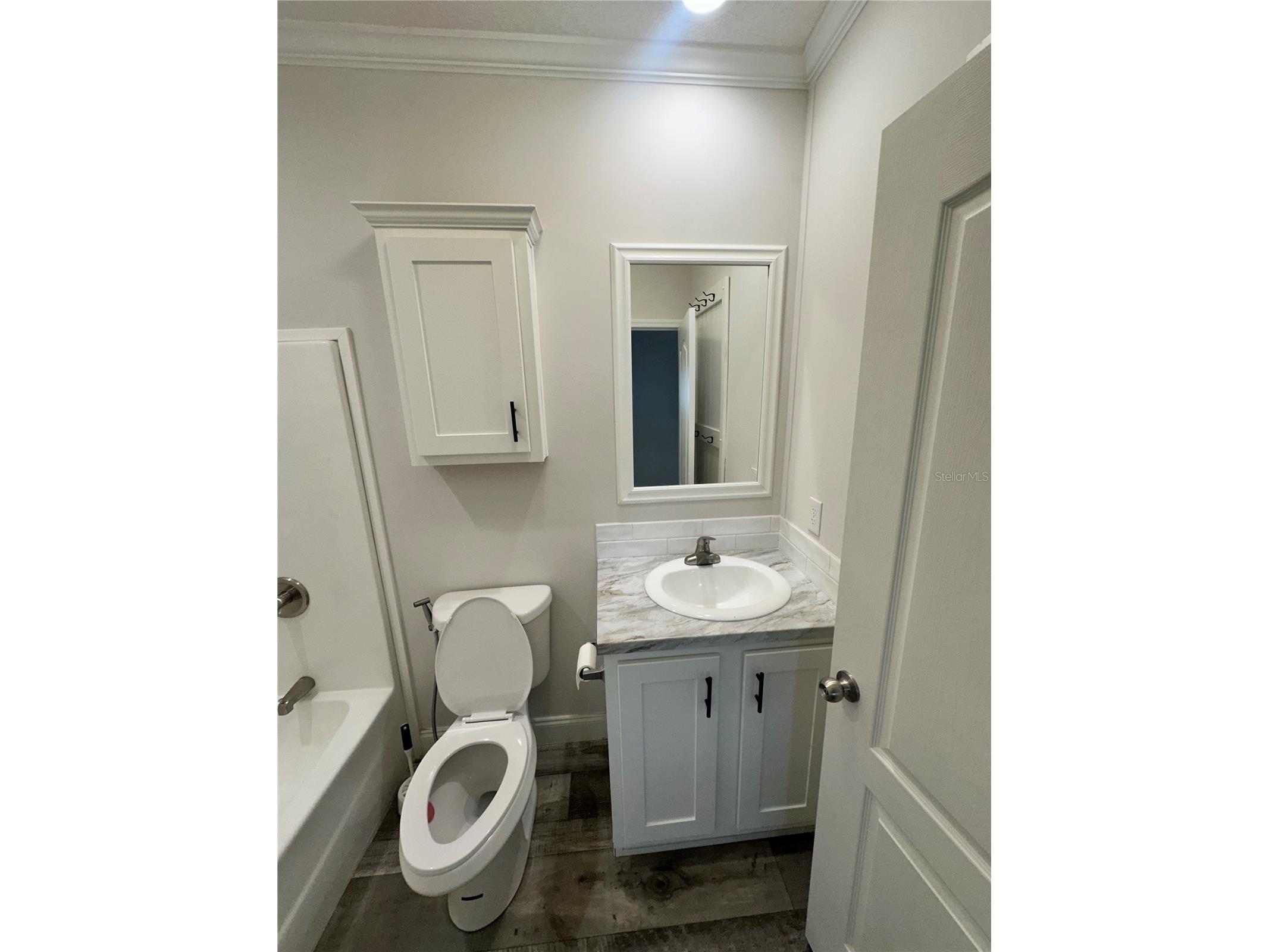 34652 Blue Starling Street Zephyrhills FL 33541 TB8515164 image19