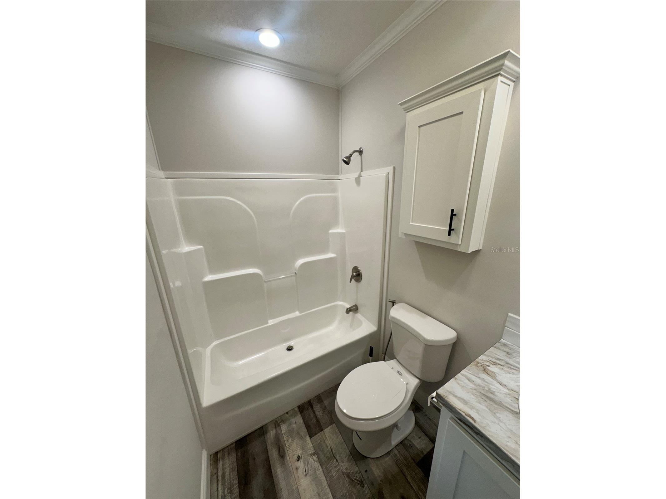 34652 Blue Starling Street Zephyrhills FL 33541 TB8515164 image20