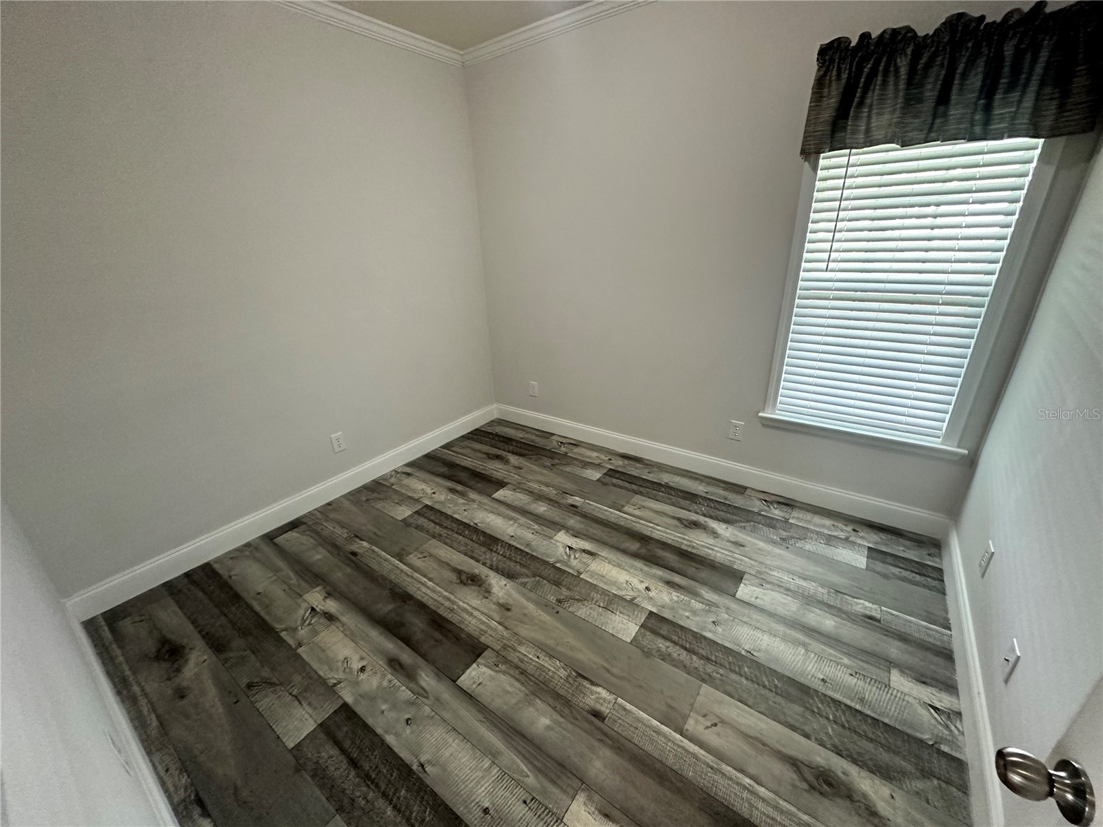 34652 Blue Starling Street Zephyrhills FL 33541 TB8515164 image21