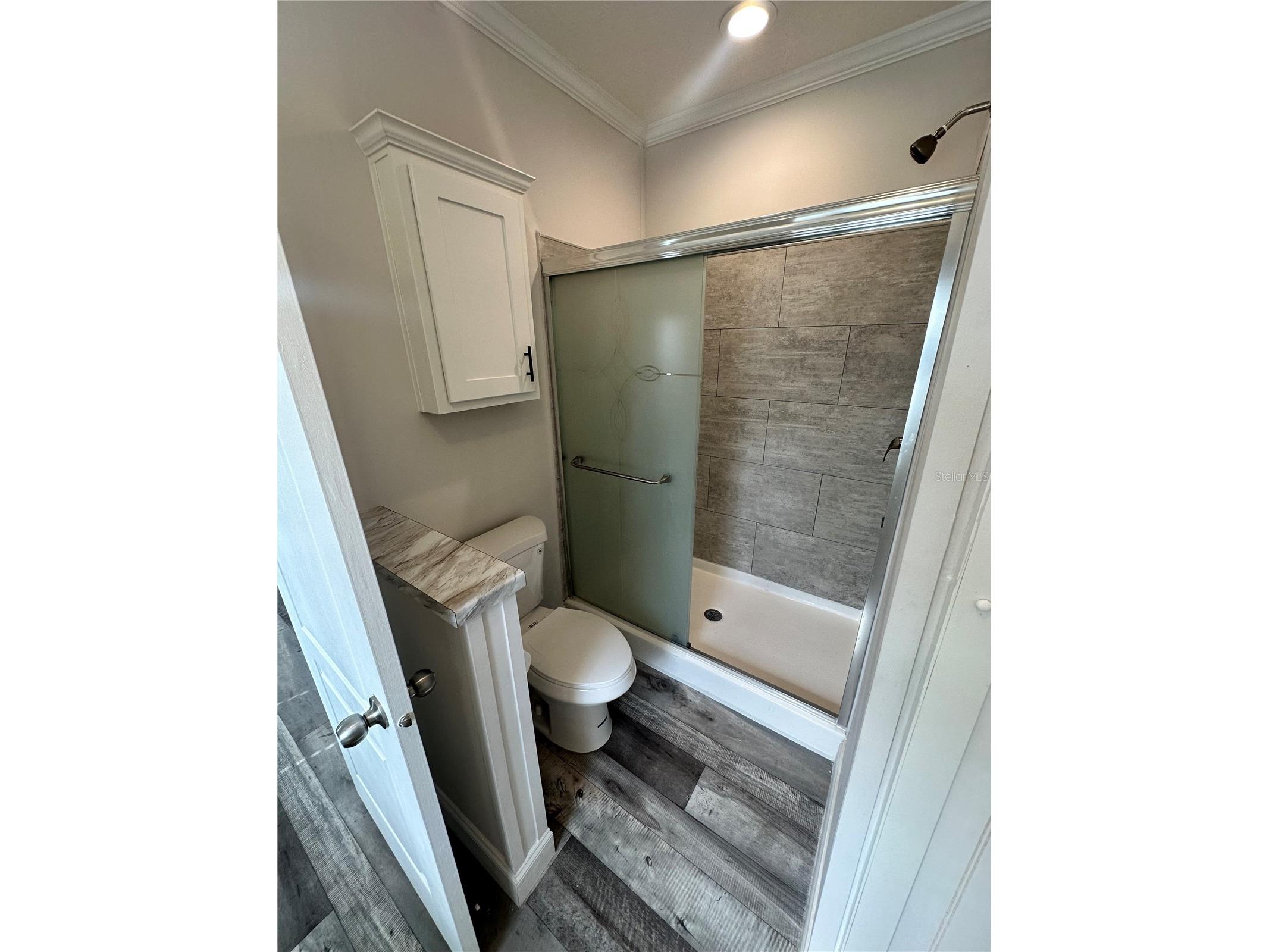 34652 Blue Starling Street Zephyrhills FL 33541 TB8515164 image30