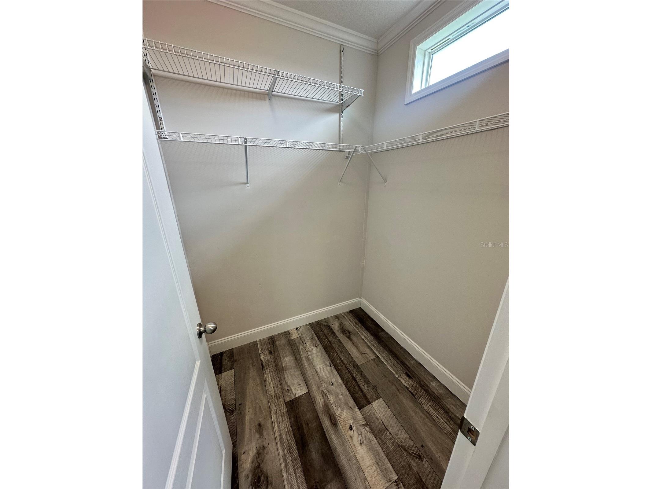 34652 Blue Starling Street Zephyrhills FL 33541 TB8515164 image32