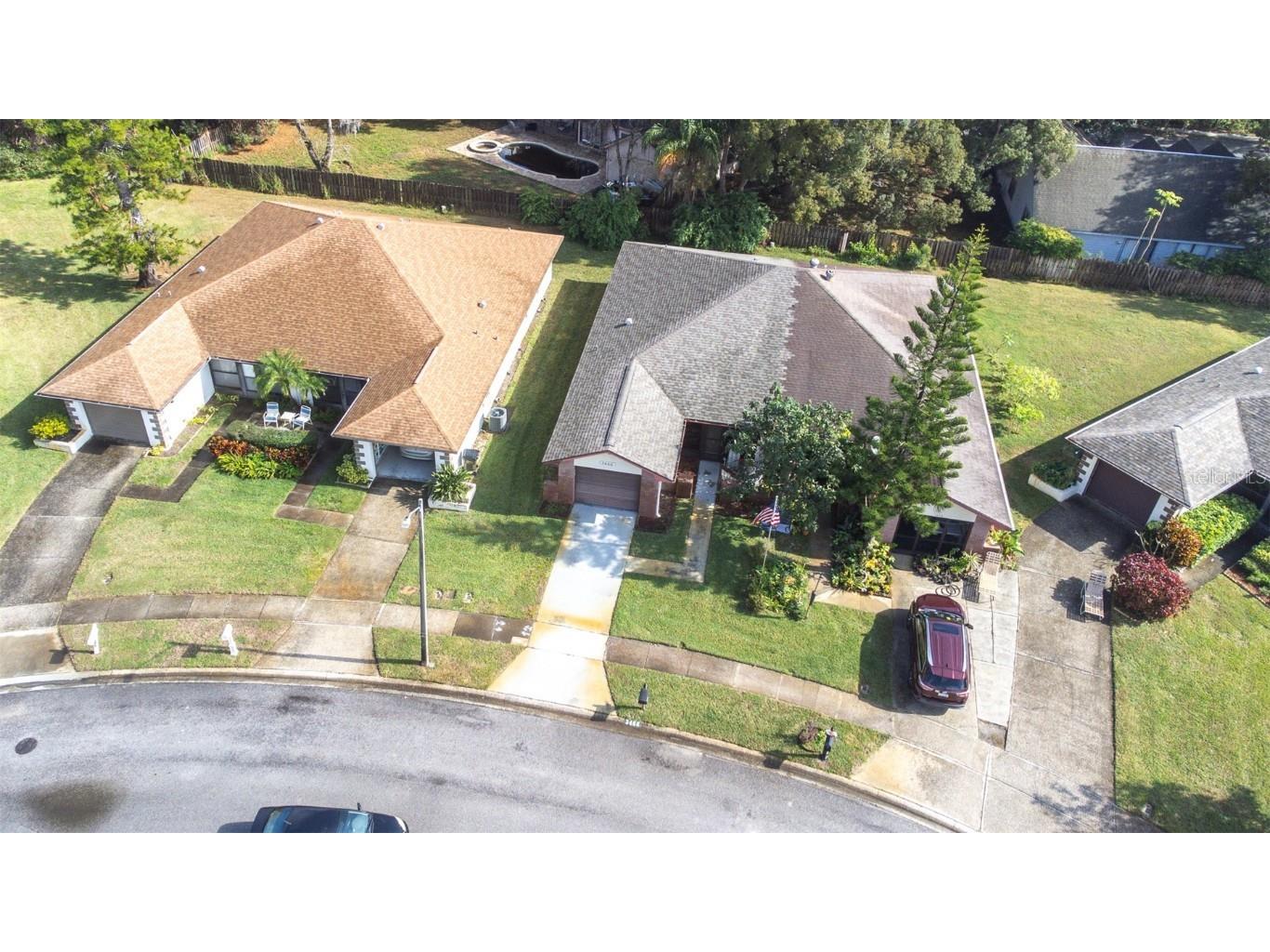 3466 Maclaren Drive Palm Harbor FL 34684 - LAKE TARPON TB8333806 image44