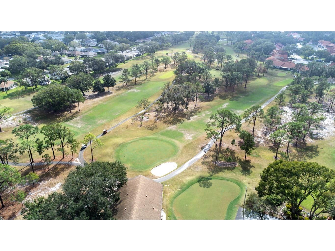 3466 Maclaren Drive Palm Harbor FL 34684 - LAKE TARPON TB8333806 image52