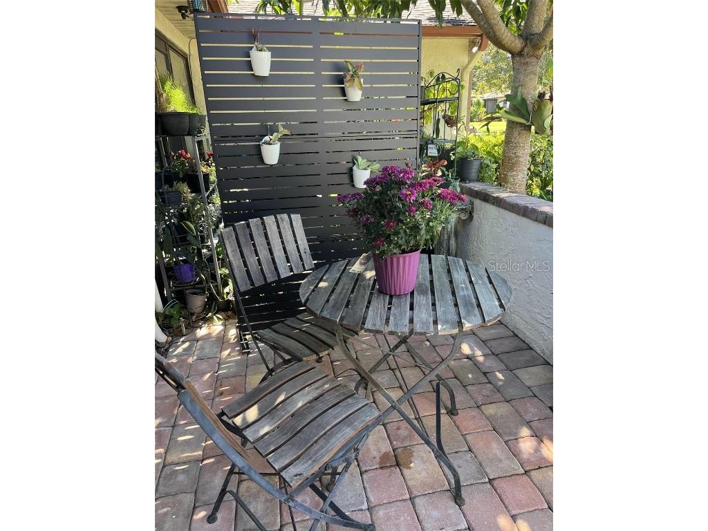 3466 Maclaren Drive Palm Harbor FL 34684 - LAKE TARPON TB8333806 image6