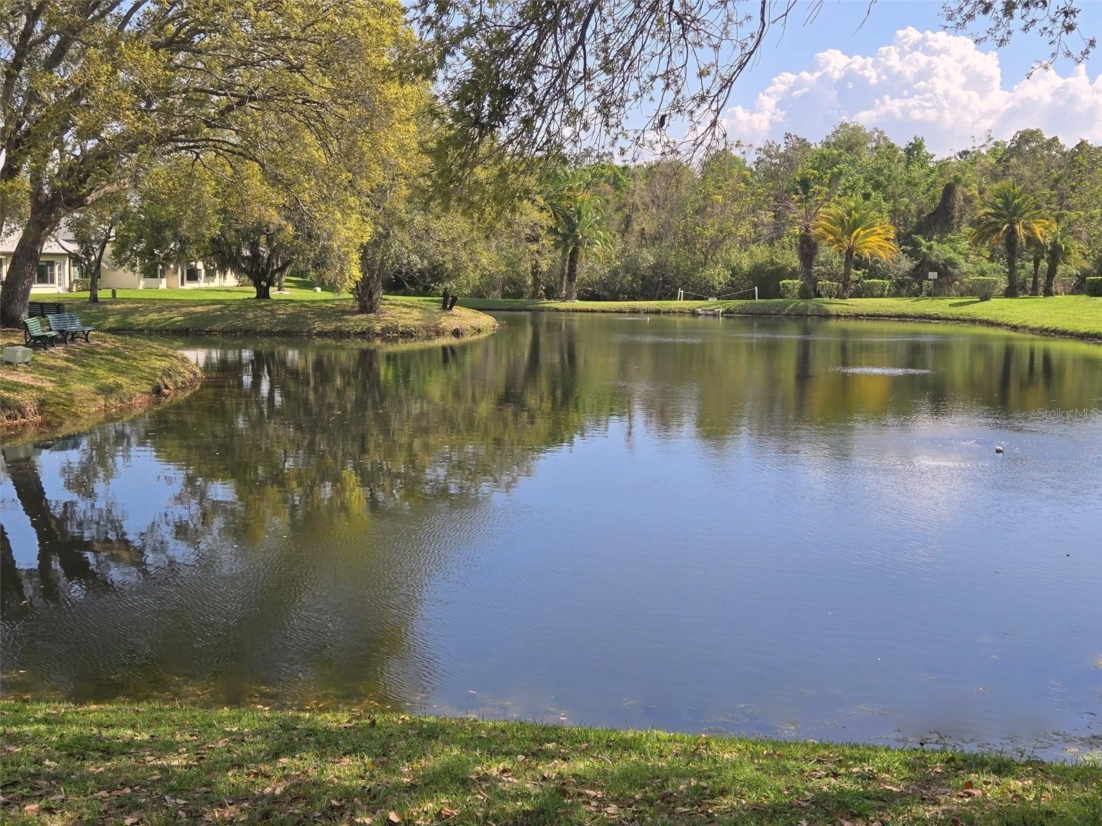 3466 Sutton Place Palm Harbor FL 34684 - LAKE TARPON & SUTTON PL POND TB8486551 image18