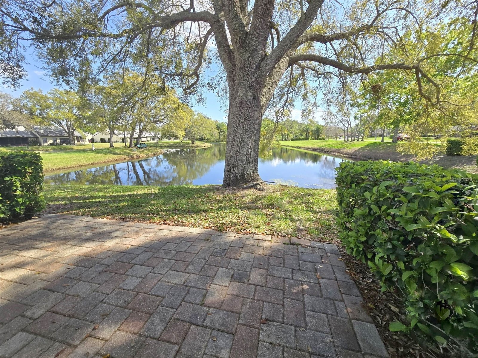3466 Sutton Place Palm Harbor FL 34684 - LAKE TARPON & SUTTON PL POND TB8486551 image3