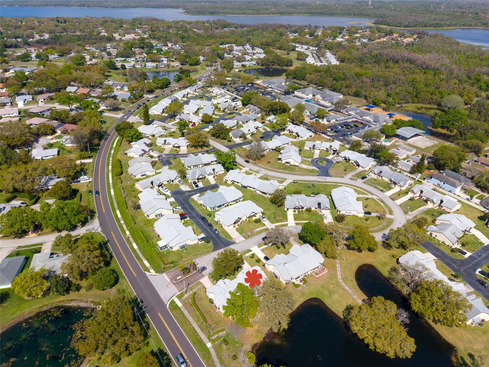 3466 Sutton Place Palm Harbor FL 34684 - LAKE TARPON & SUTTON PL POND TB8486551 image44