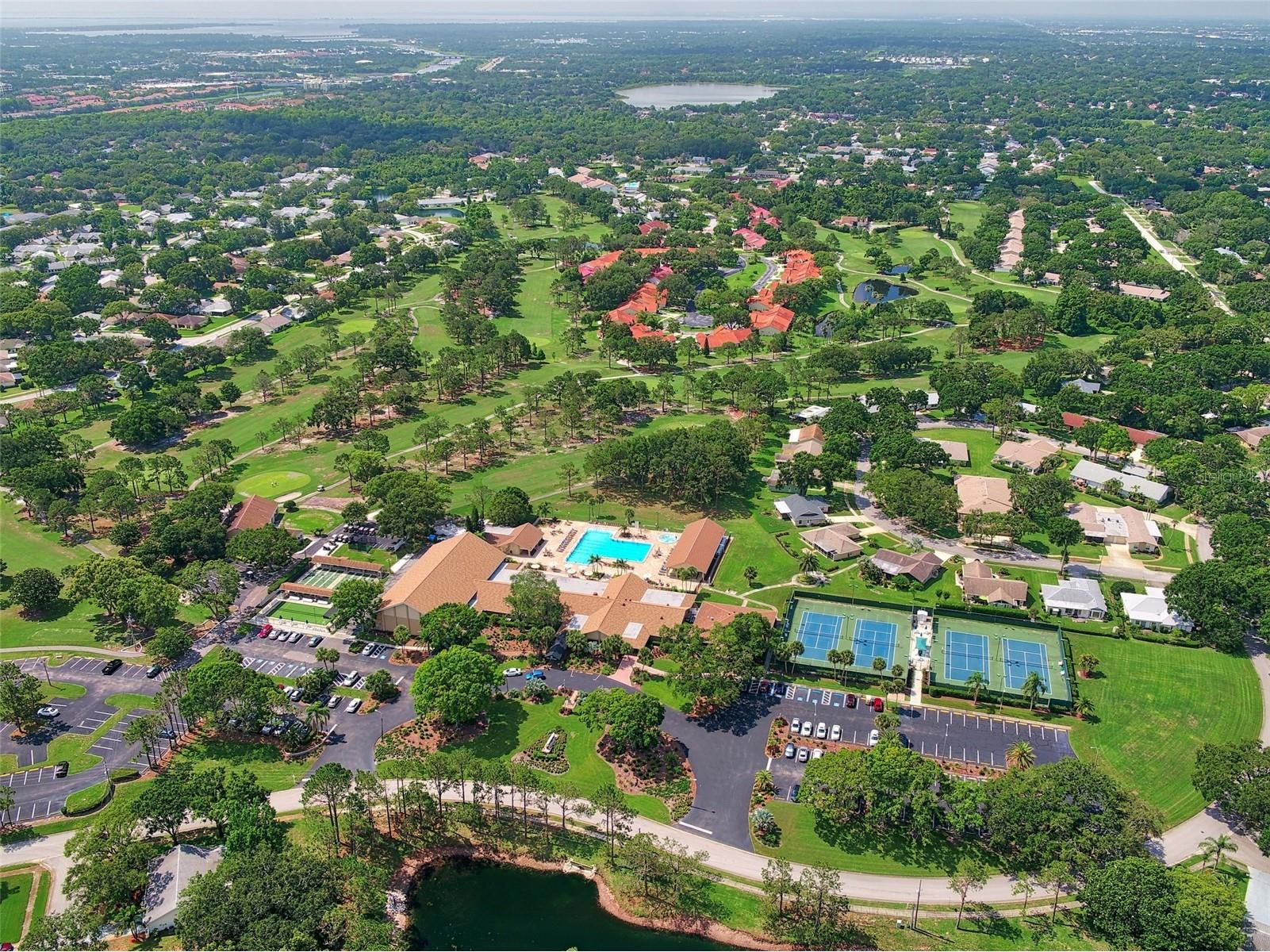 3466 Sutton Place Palm Harbor FL 34684 - LAKE TARPON & SUTTON PL POND TB8486551 image46