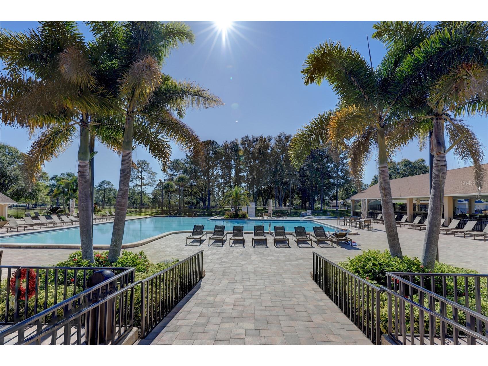 3466 Sutton Place Palm Harbor FL 34684 - LAKE TARPON & SUTTON PL POND TB8486551 image51