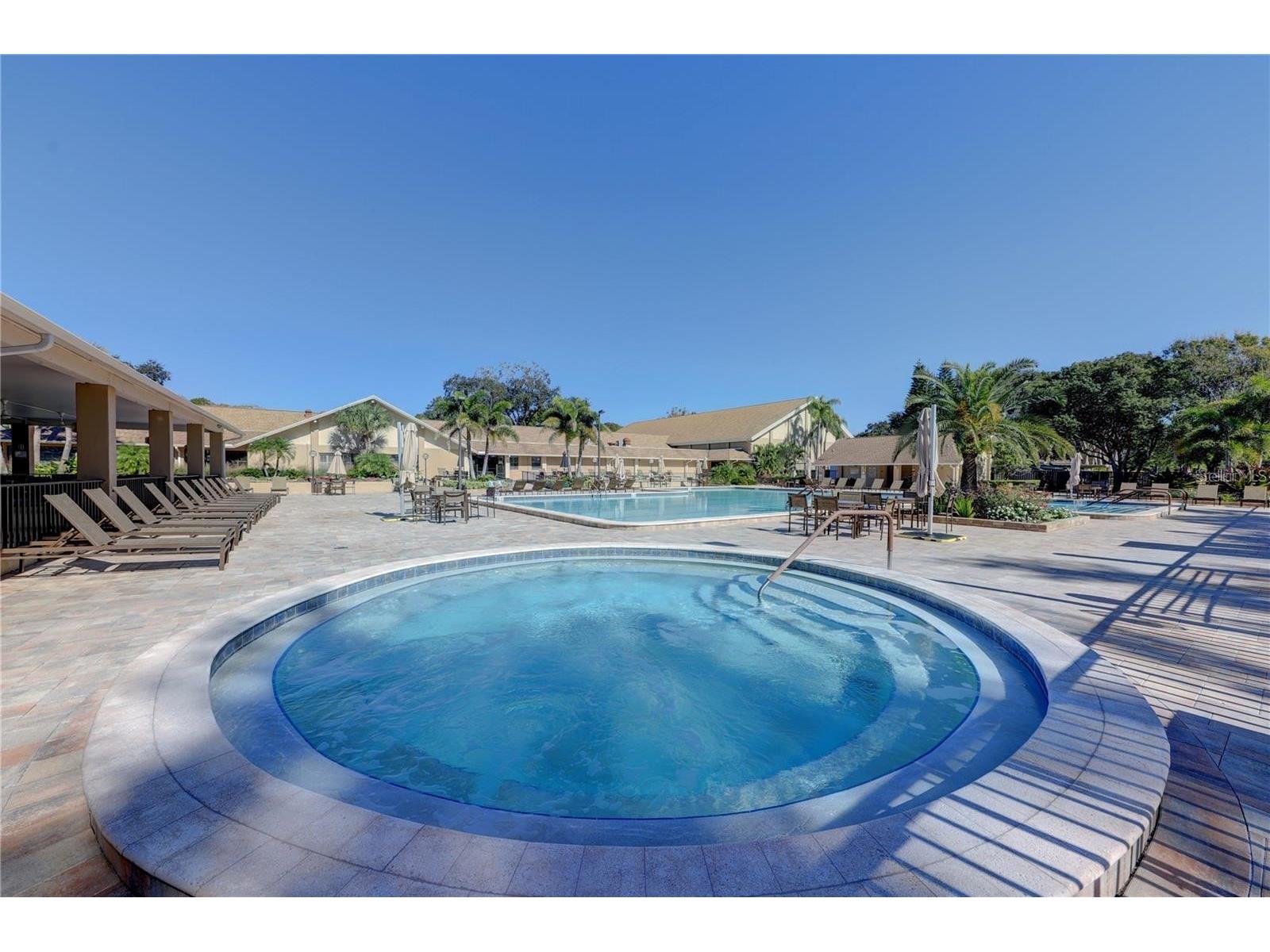 3466 Sutton Place Palm Harbor FL 34684 - LAKE TARPON & SUTTON PL POND TB8486551 image52