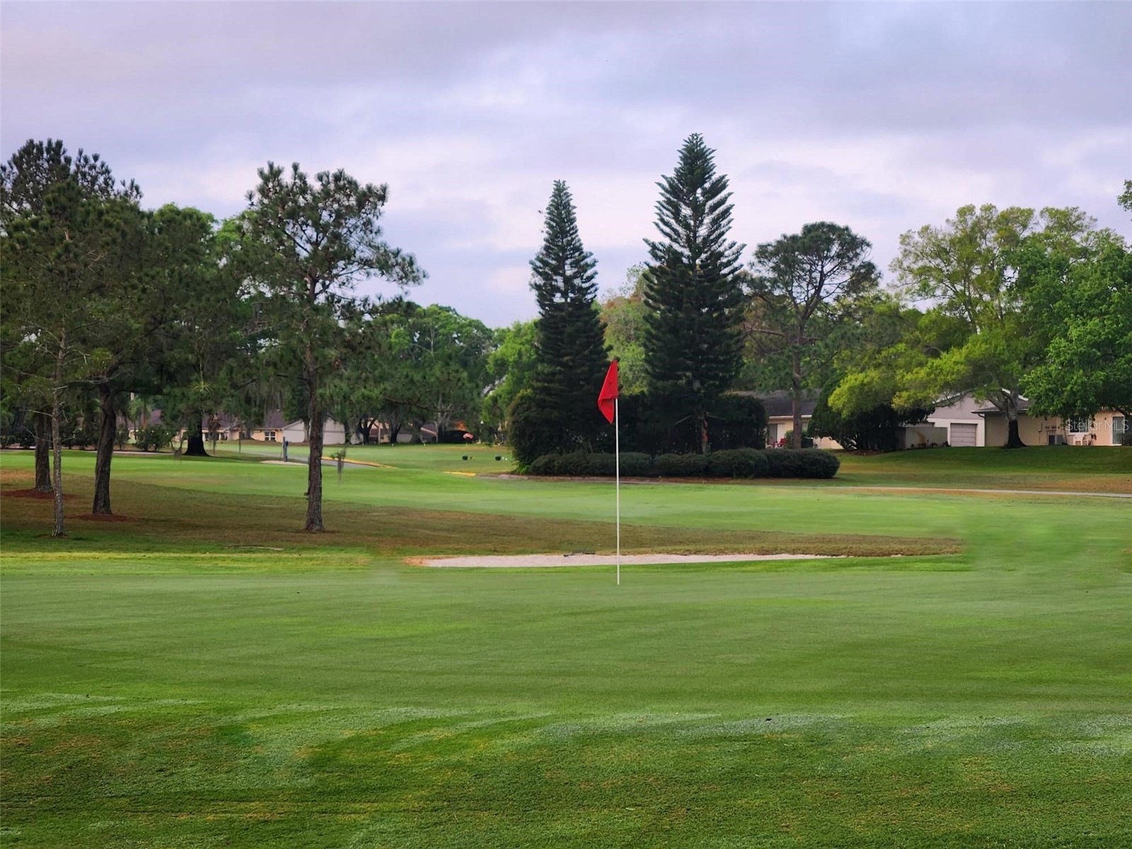 3466 Sutton Place Palm Harbor FL 34684 - LAKE TARPON & SUTTON PL POND TB8486551 image57