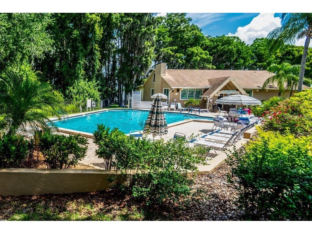 3466 Sutton Place Palm Harbor FL 34684 - LAKE TARPON & SUTTON PL POND TB8486551 image62