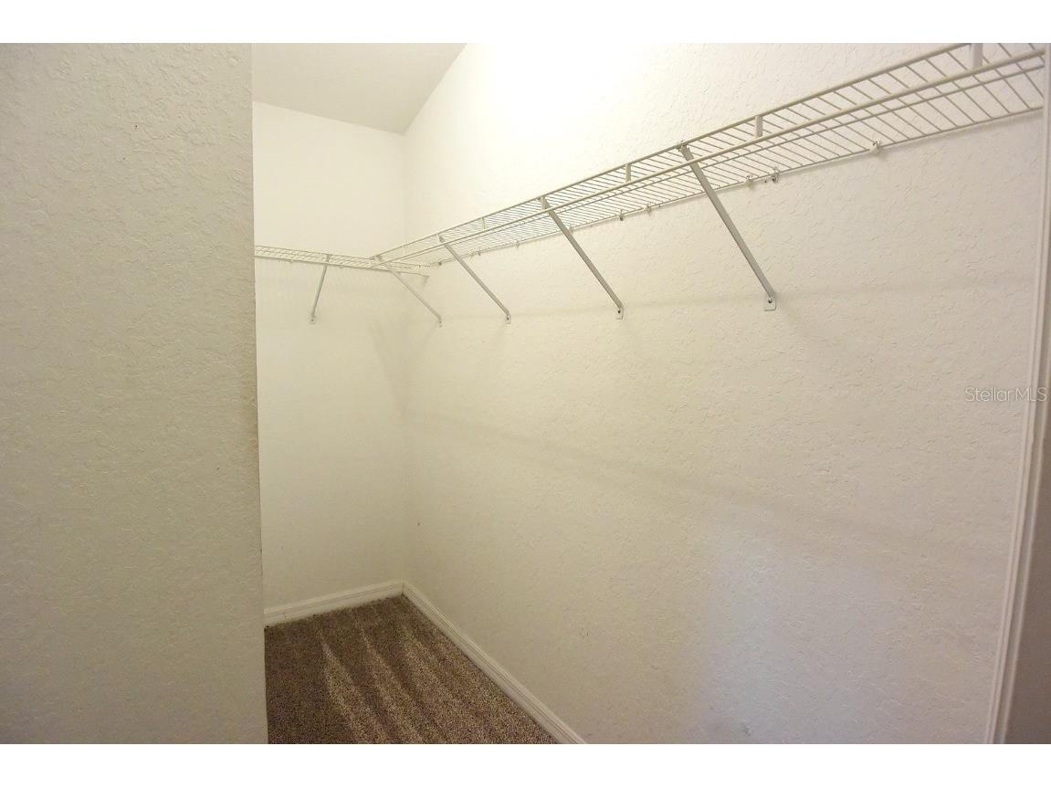 3467 Fox Hunt Drive Palm Harbor FL 34683 W7878861 image15