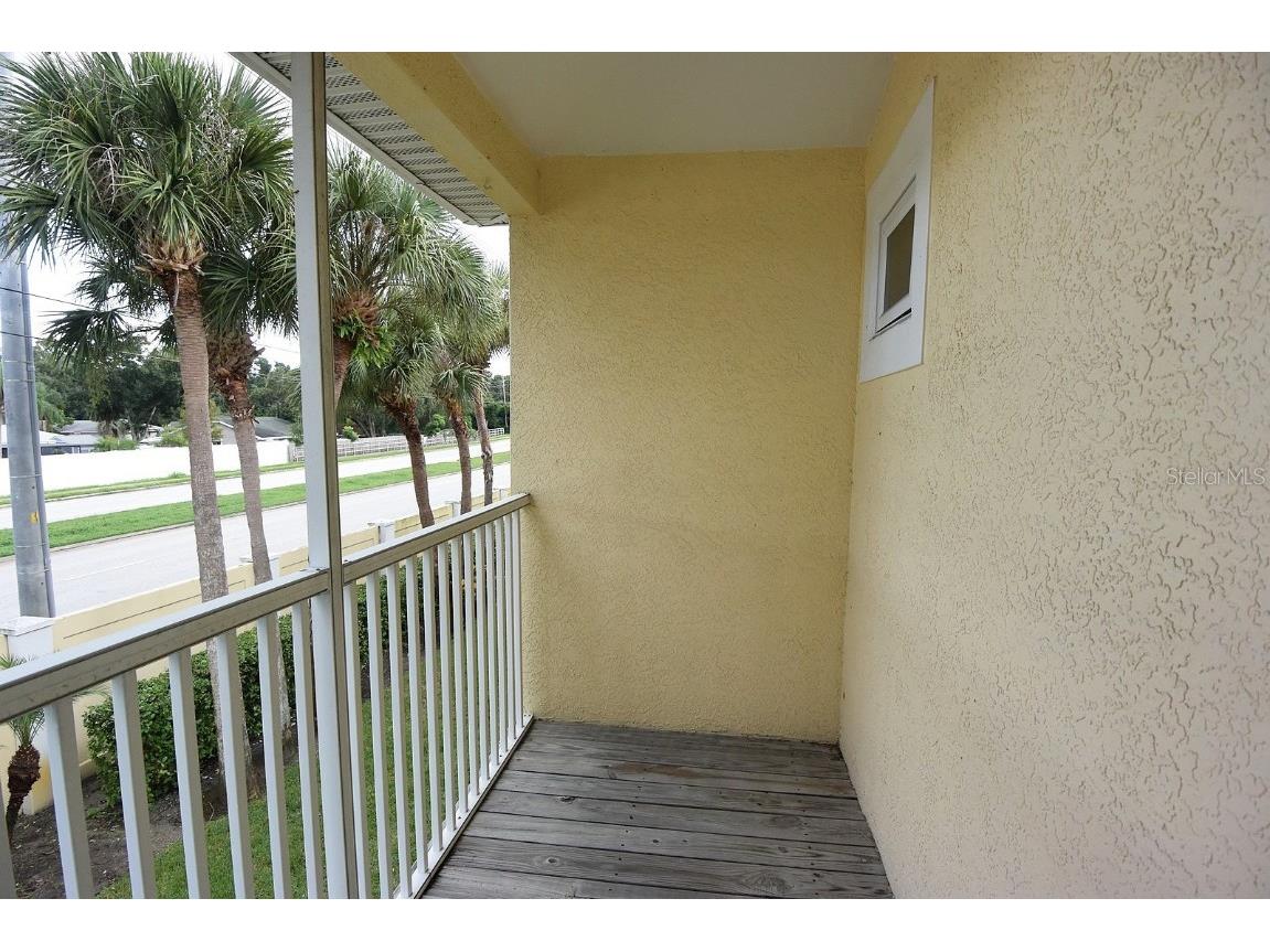 3467 Fox Hunt Drive Palm Harbor FL 34683 W7878861 image17