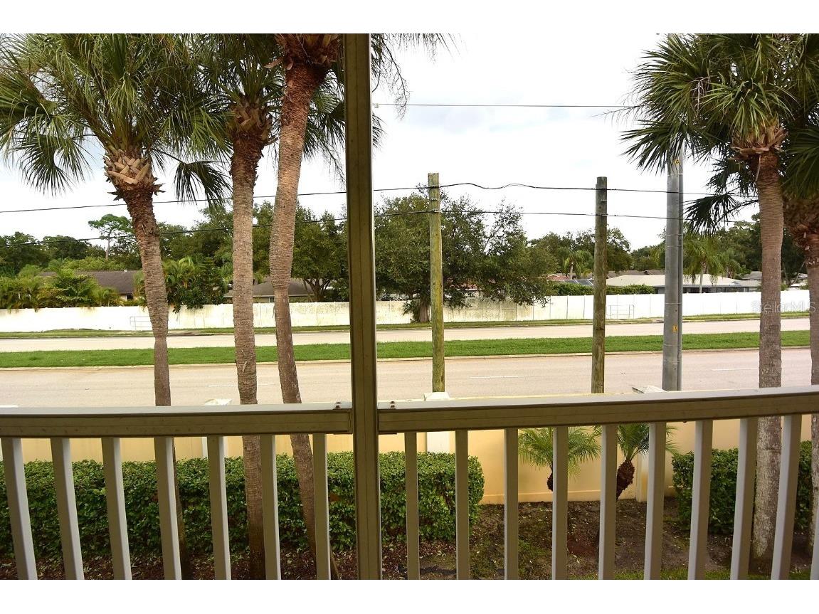 3467 Fox Hunt Drive Palm Harbor FL 34683 W7878861 image18