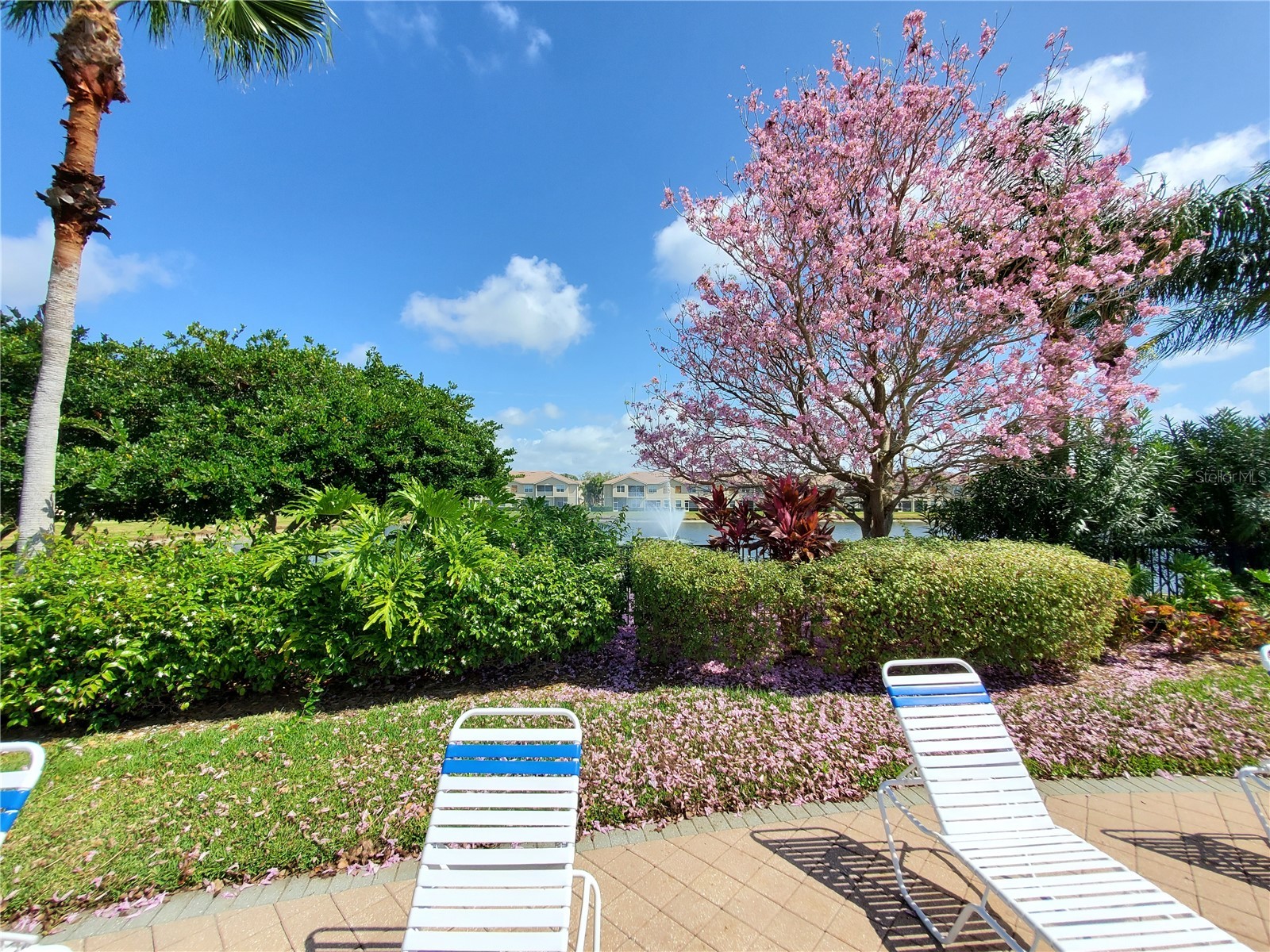 3468 Parkridge Circle #33-201 Sarasota FL 34243 A4640865 image34