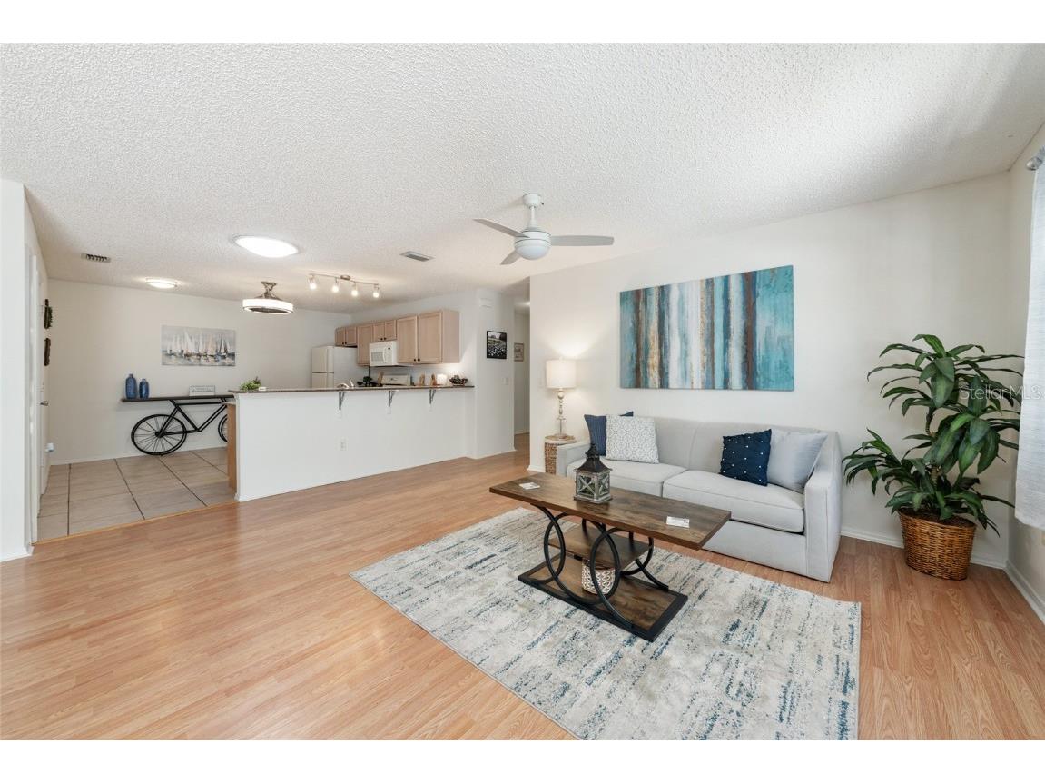 3468 Roanoke Street The Villages FL 32162 G5105647 image17