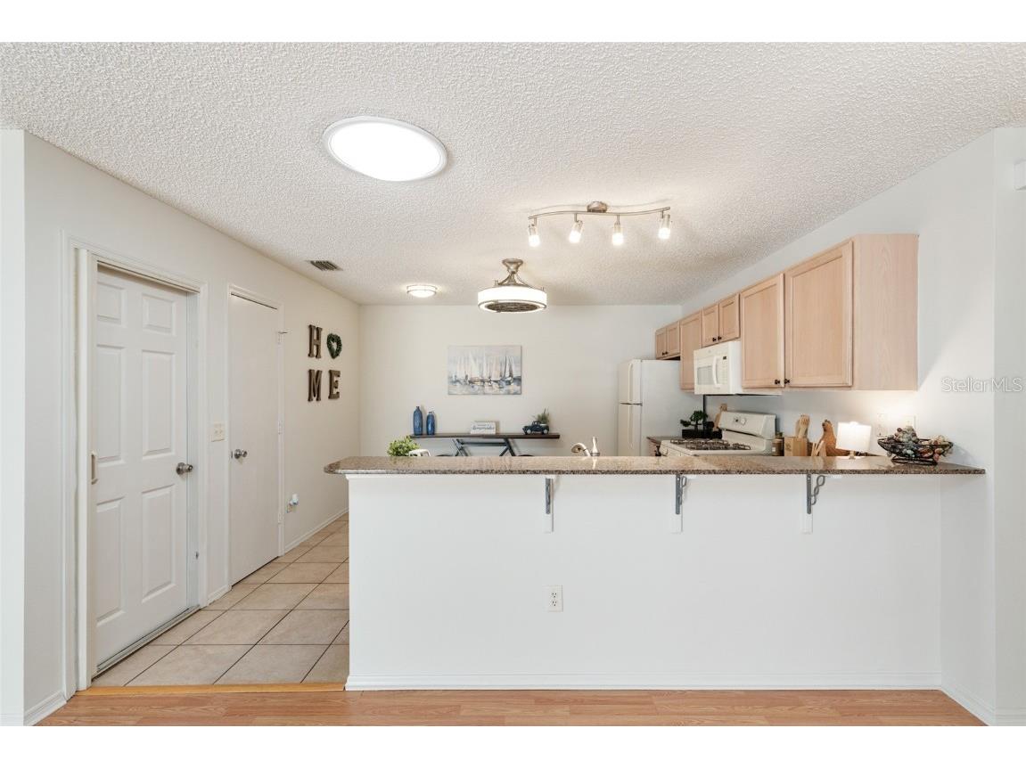 3468 Roanoke Street The Villages FL 32162 G5105647 image18