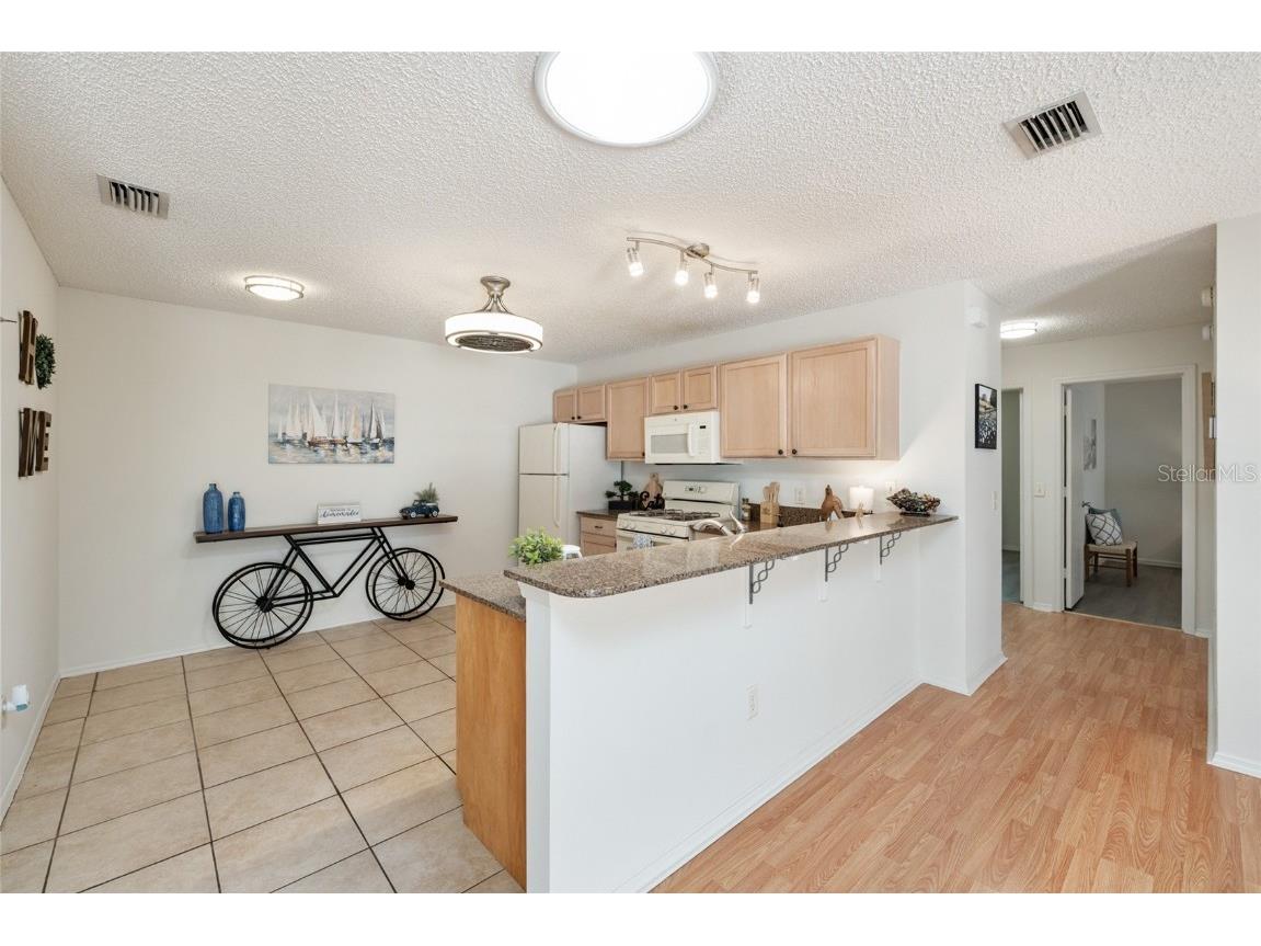 3468 Roanoke Street The Villages FL 32162 G5105647 image19